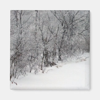Aimant Carré Snowy Woods