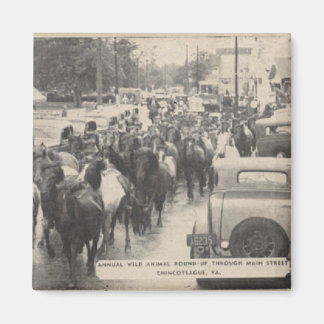 Aimant Carte postale Chincoteague Pony Vintage 1941