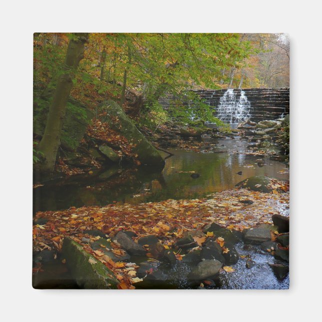 Aimant Cascade automnale et Creek Pennsylvania Nature (Devant)
