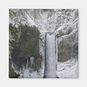 Aimant Cascade trouble entourée par une forêt de Milou