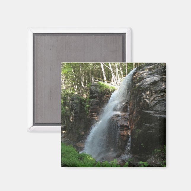 Aimant Cascades d'Avalanche (Recto/Verso)