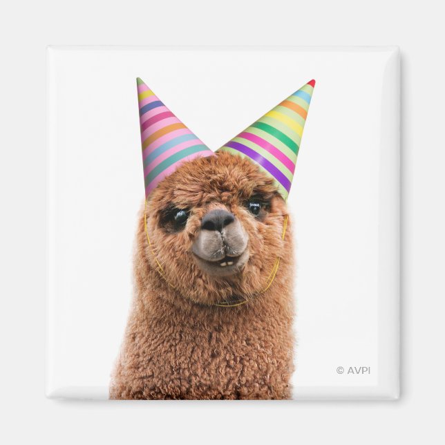 Aimant Casquettes du parti Alpaca (Devant)
