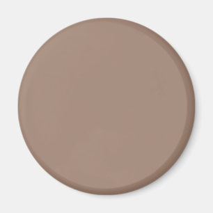 Aimant Castor (couleur solide)