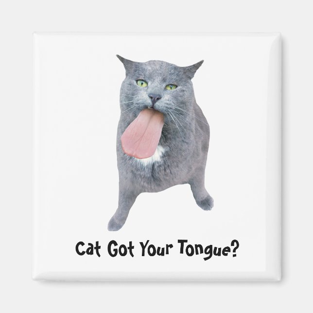 Aimant Cat A Te Langue ? (Devant)