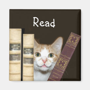 Aimant Cat and books