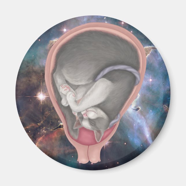 Aimant Cat Fetus (Devant)