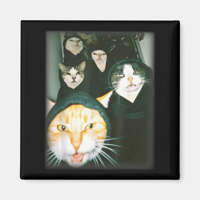 Aimant Cat Gang Meme Funny Chaotic Cats Unhinged Feline H (Devant)