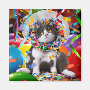 Aimant Cat In Party Cone