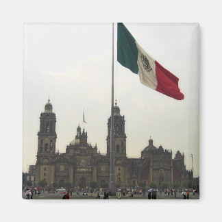 Aimant Catedral en el Zocalo del DF con la Bandera