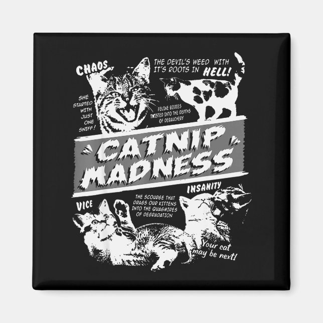 Aimant Catnip Madness Cute Kitten Funny Cat Pet Humor  (Devant)