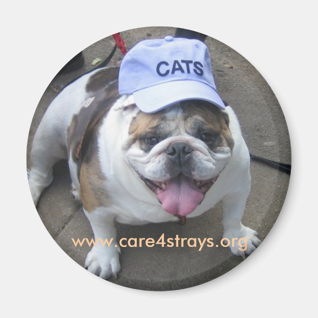 Aimant CATS : (Devant)