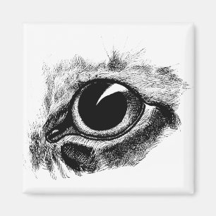 Aimant Cats Oeil Vintage dessin animal illustration