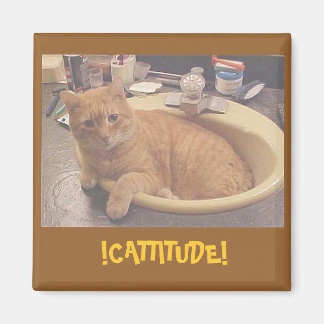 Aimant !CATTITUDE !, (Ou pourquoi je ne peux pas nettoyer (Devant)