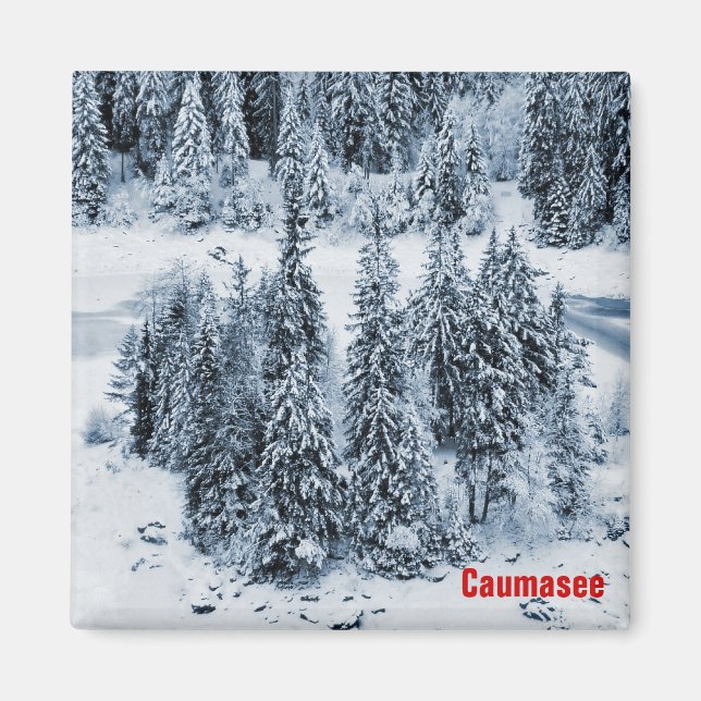 Aimant Caumasee (Devant)