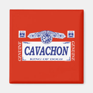 Aimant Cavachon