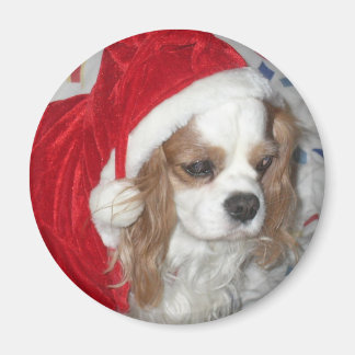AIMANT CAVALIER KING CHARLES ESPAGNOL CHIEN AVEC SANTA HA