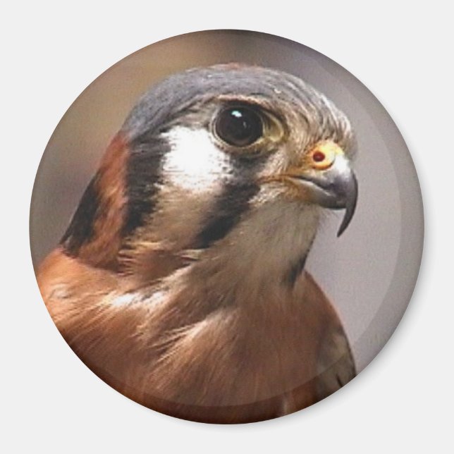 Aimant cd2 017 (Devant)