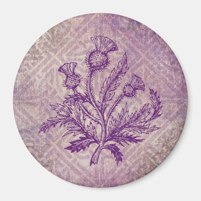 Aimant Ceinture écossaise violet noeud celtique (Devant)
