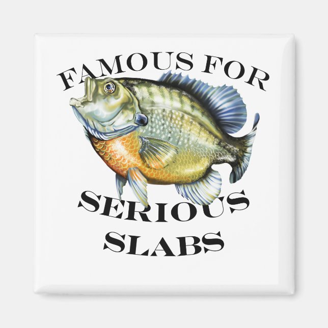 Aimant Célèbre Pour La Lumière Sérieuse Des Marques (Devant)