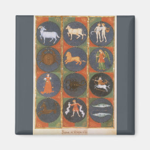 Aimant Céleste Vintage, Carte du Zodiaque Astrologique, 1