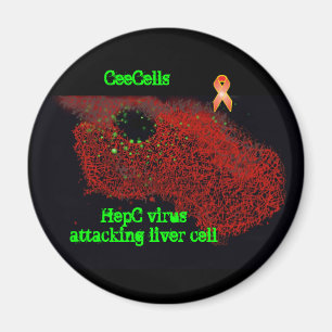 Aimant Cellule de foie de attaque de virus de HepC