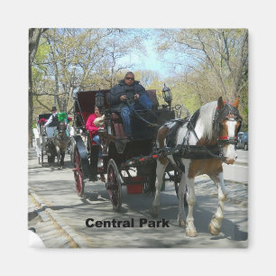 Aimant Central Park, Horse et Carriage