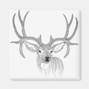 Aimant cerf, chasse aux cerfs, cerf muet, cerf de bébé, q