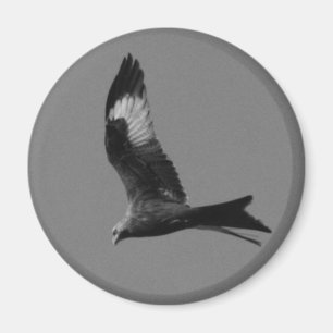 Aimant Cerf-volant rouge