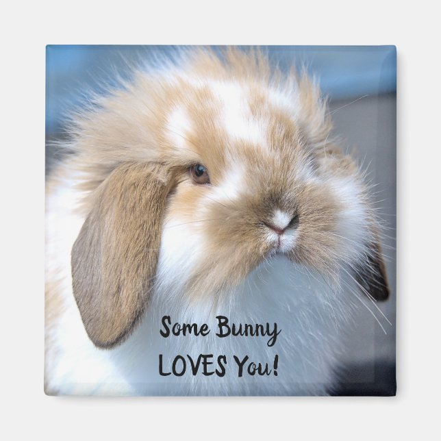 Aimant Certains Bunny Vous Aime - Fluffy Holland Lop (Devant)