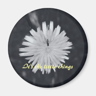 Aimant C'est les petites choses