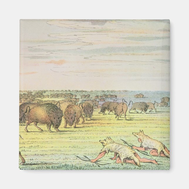 Aimant Chaleur de buffle (Devant)