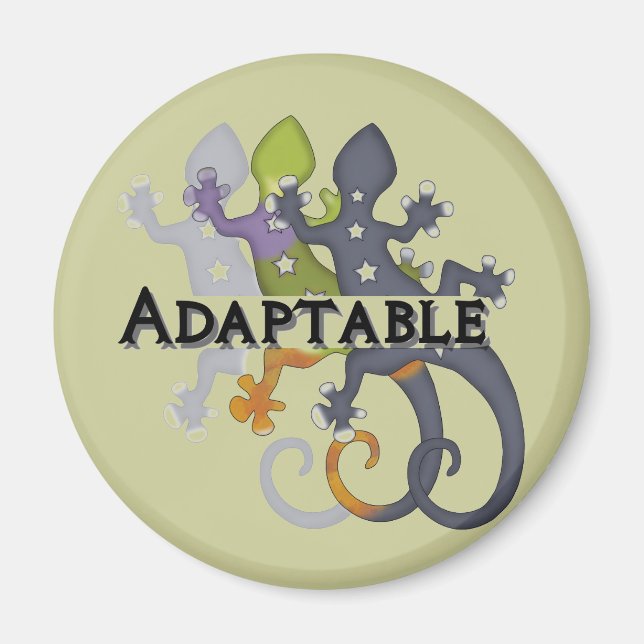 Aimant Chameleon Adaptable (Devant)