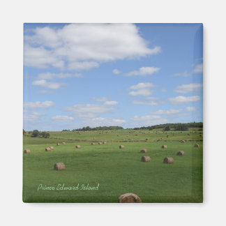 Aimant Champ dans l'aimant PEI