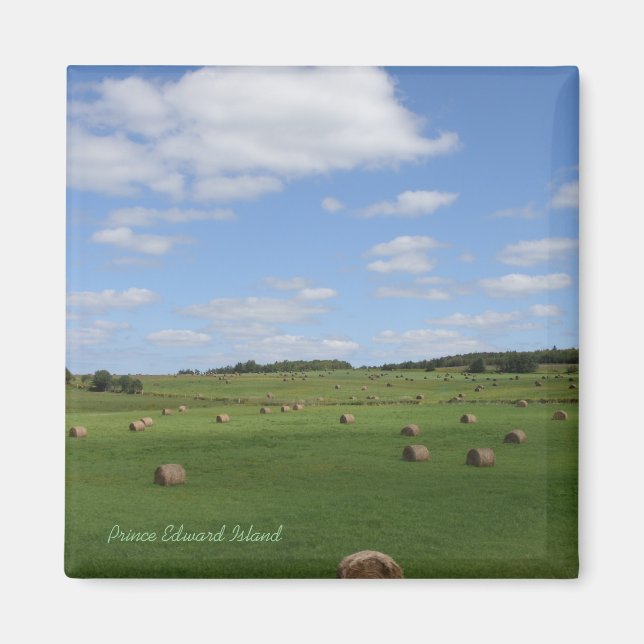 Aimant Champ dans l'aimant PEI (Devant)