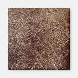 Aimant Champ de blé (par Eugène Atget)