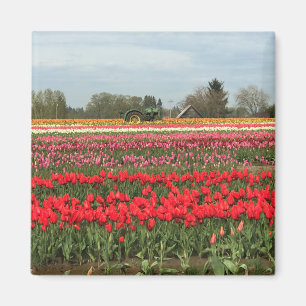 Aimant Champ de tulipe avec tracteur et grange