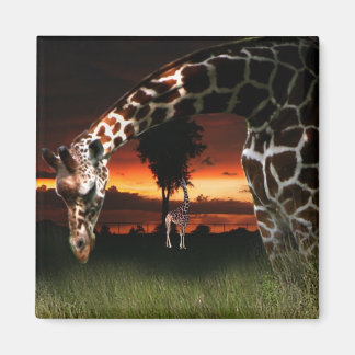 Aimant Champ scolaire africain