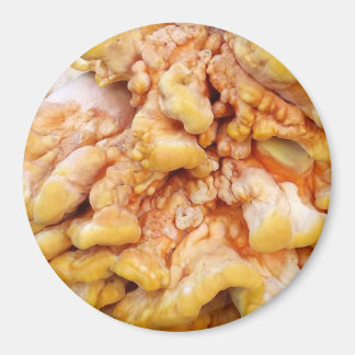 Aimant Champignon Orange