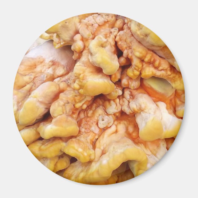 Aimant Champignon Orange (Devant)