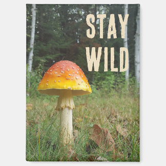 Aimant champignon Stay Wild