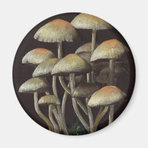 Aimant Champignons