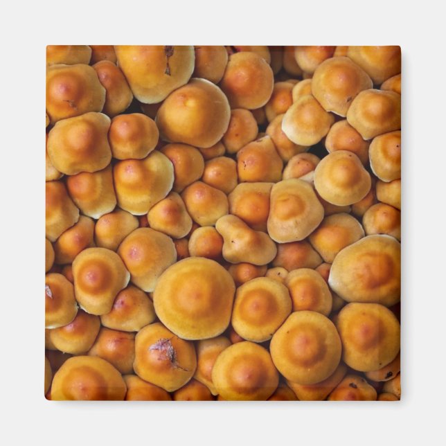 Aimant Champignons (Devant)