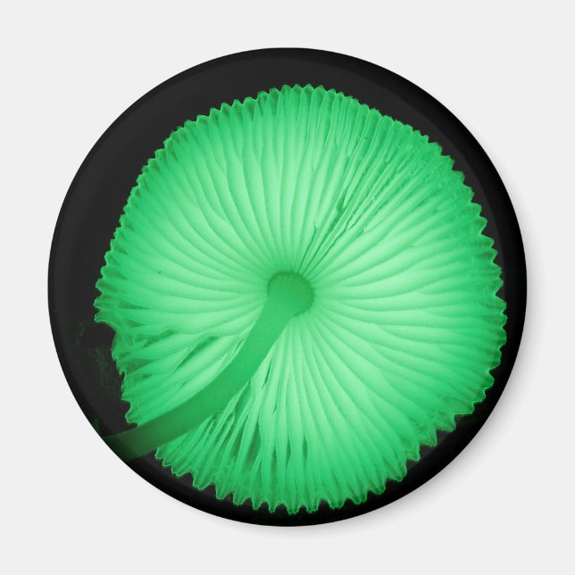 Aimant Champignons éclatants (Devant)