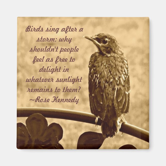 Aimant Chanter après la tempête (Devant)