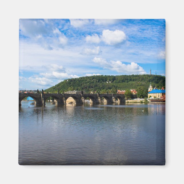 Aimant Charles Brige (Devant)