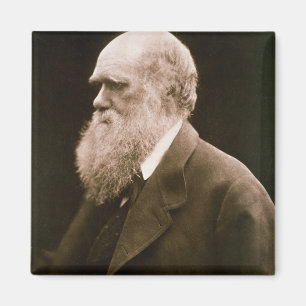 Aimant Charles Darwin (1809-82) (photo)
