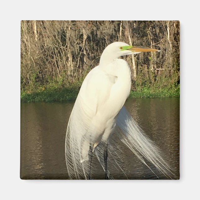 Aimant Charlie (Devant)