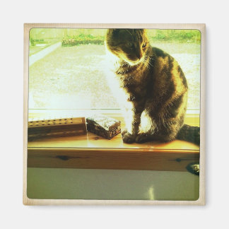 Aimant Charlie À La Fenêtre