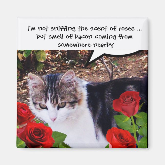 AIMANT CHAT AVEC ROSES ROUGES ET BACON (Devant)