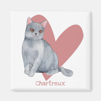 Chat Chartreux Aquarelle Kitty Coeur rose